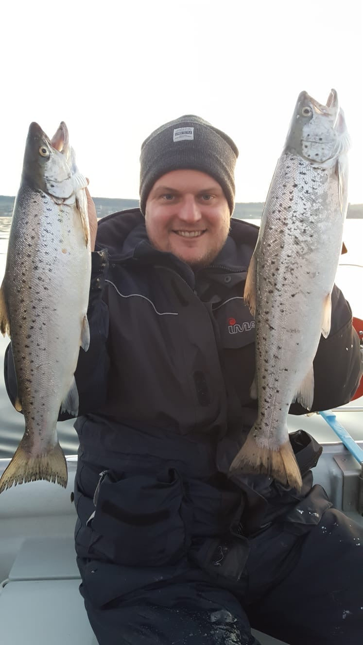 Seeforelle 53cm Bodensee