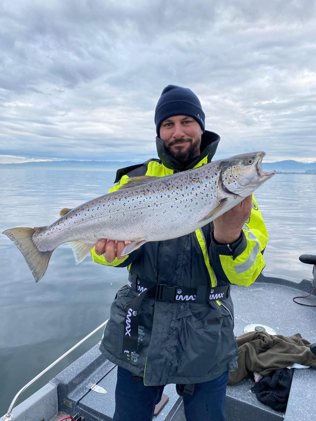 Seeforellen 70cm Bodensee