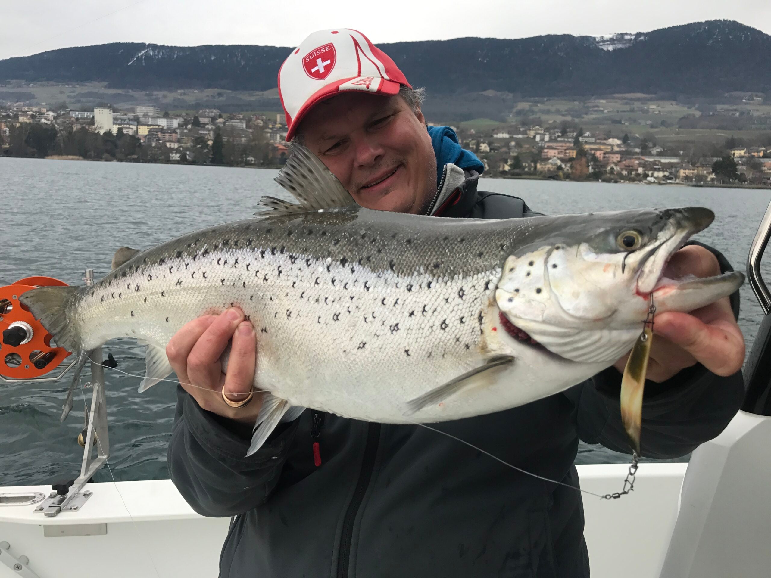 Seeforelle 64cm Neuenburgersee