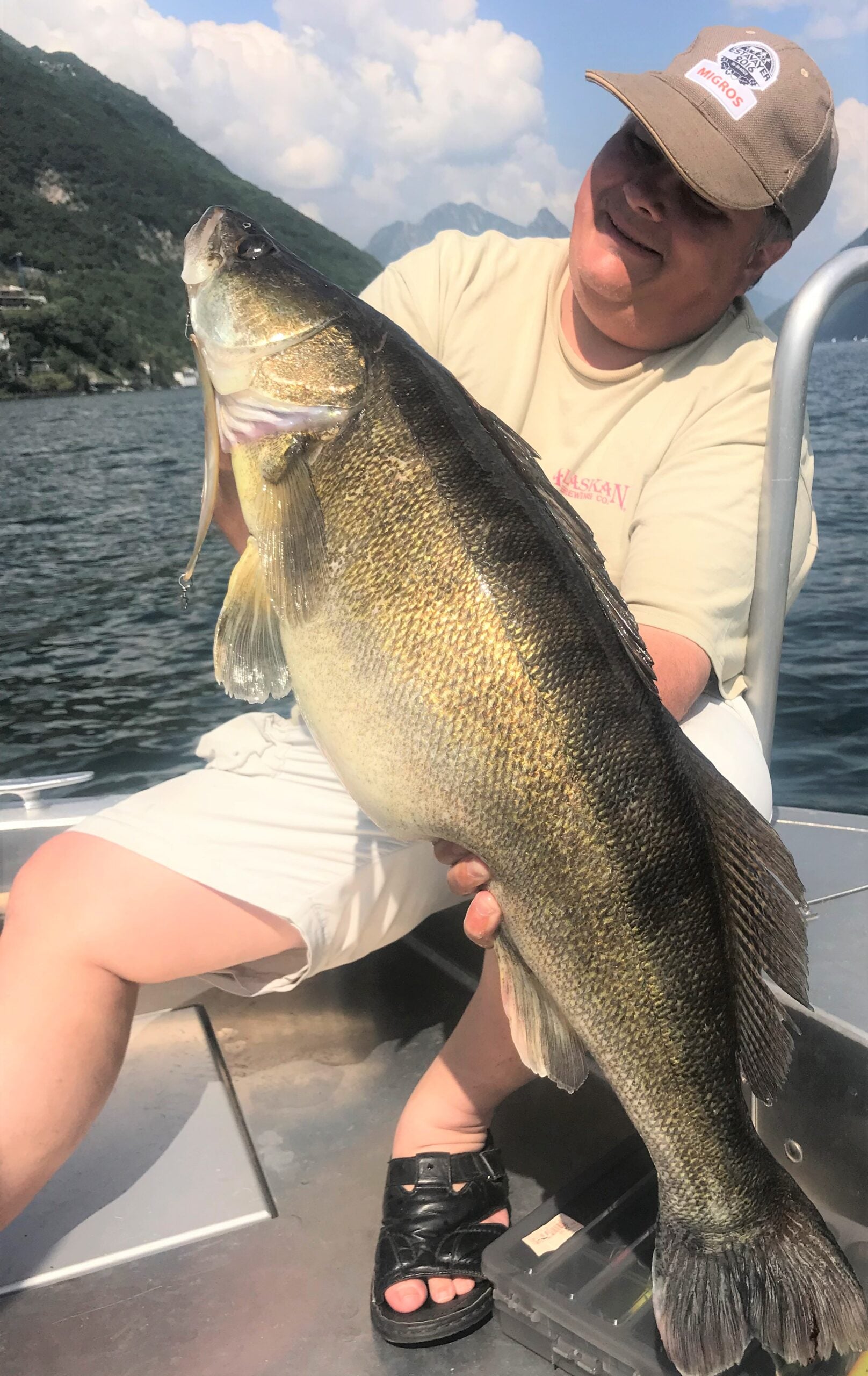 Zander 87cm