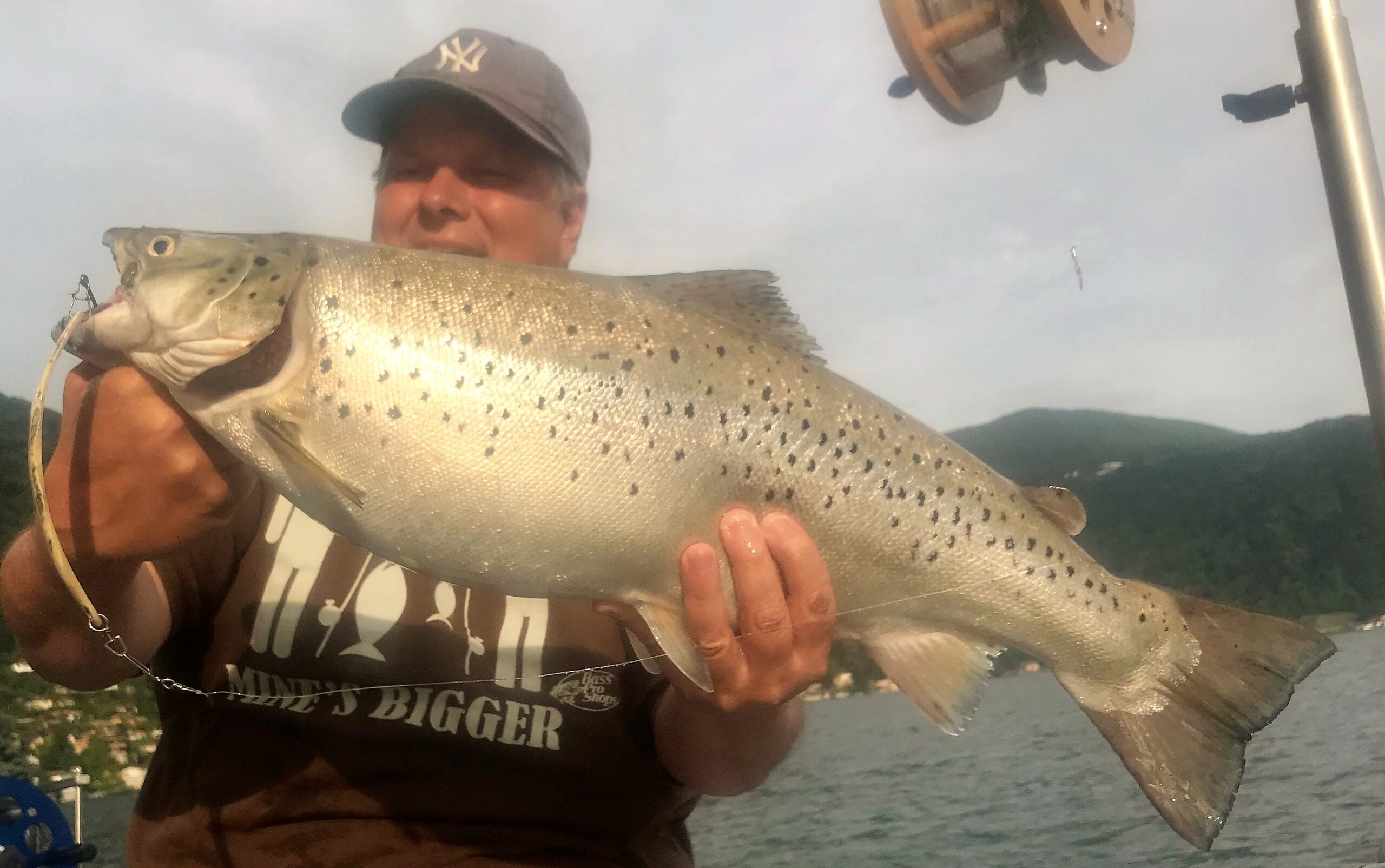 Seeforelle 65cm Luganersee
