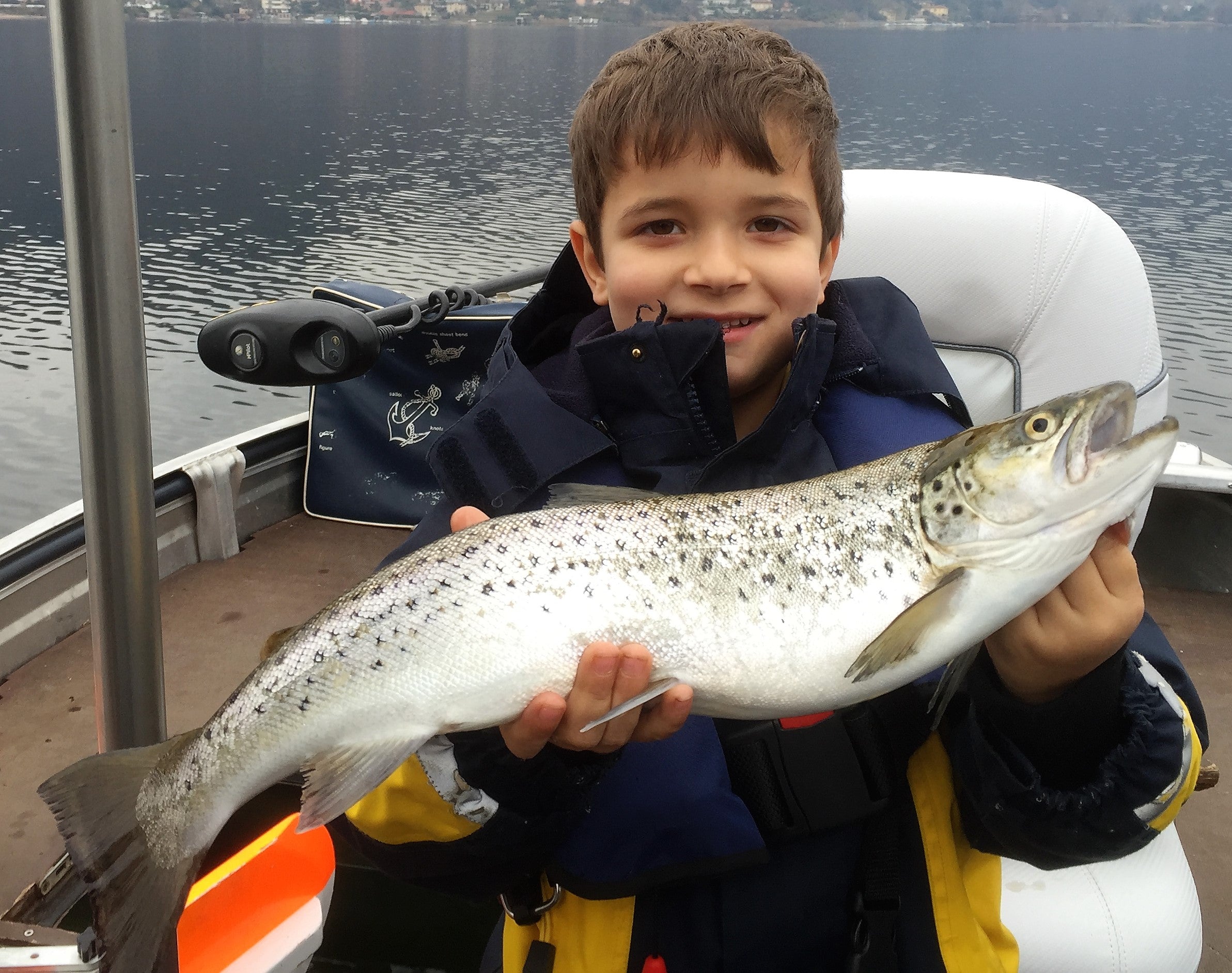 Seeforelle 48cm