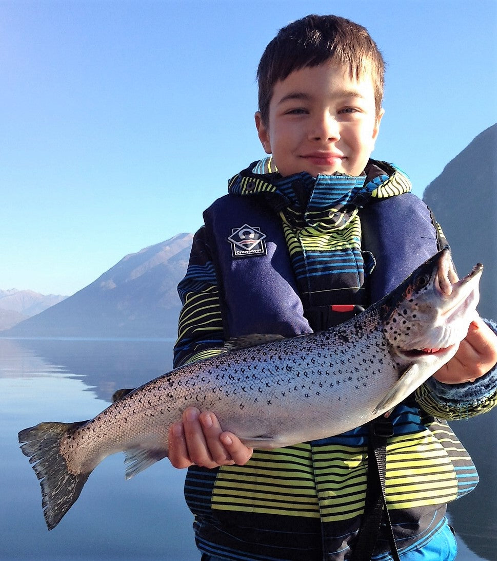 Seeforelle 51cm