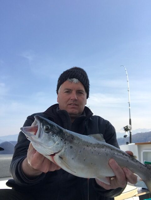 Seeforelle 51cm Zürichsee