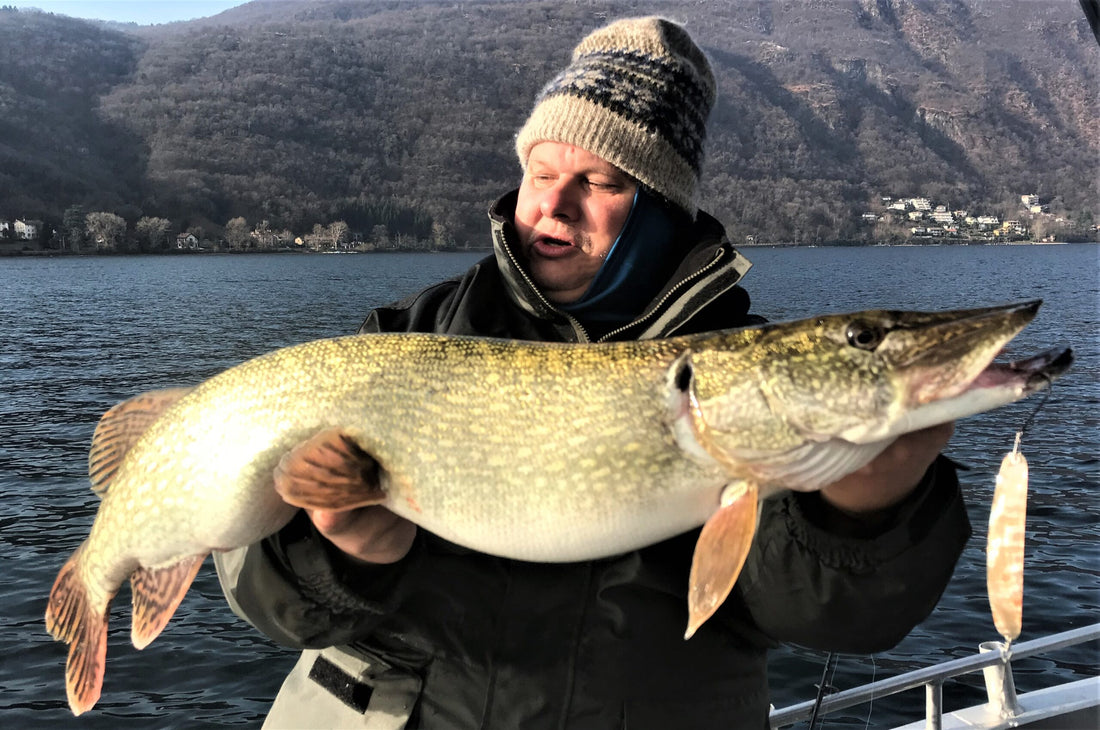 Hecht 85cm Luganersee