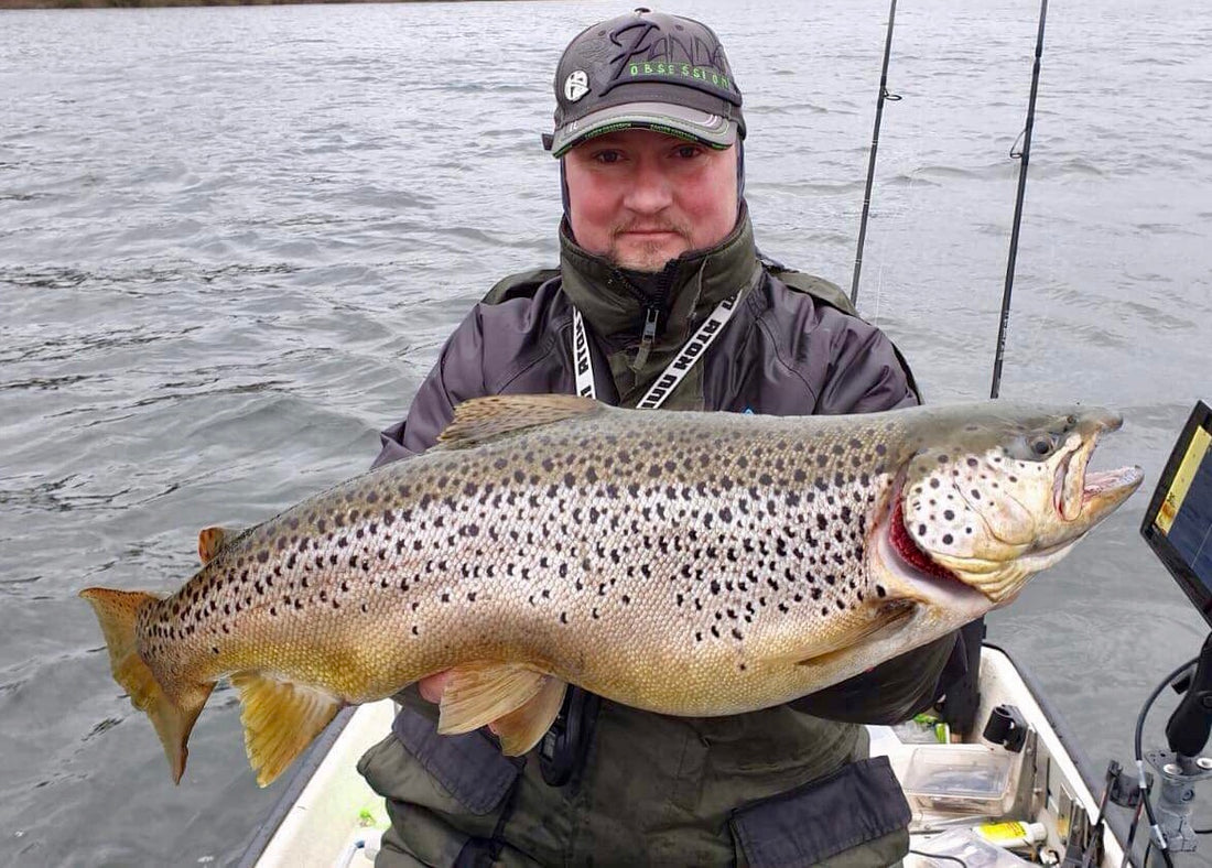 Seeforelle 70cm Sauerländische Talsperre