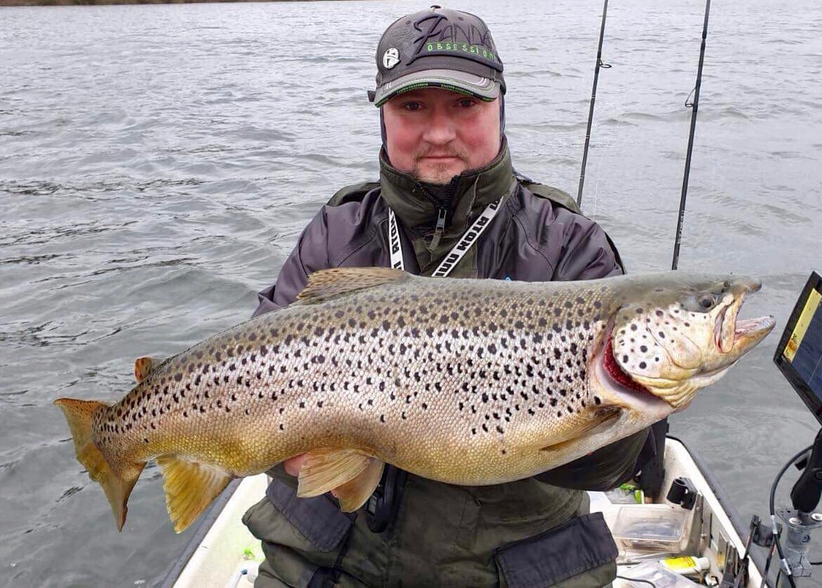 Seeforelle 70cm Sauerländische Talsperre