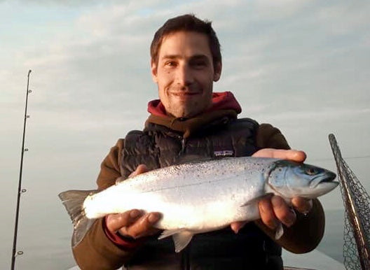 Seeforelle 50cm Bodensee