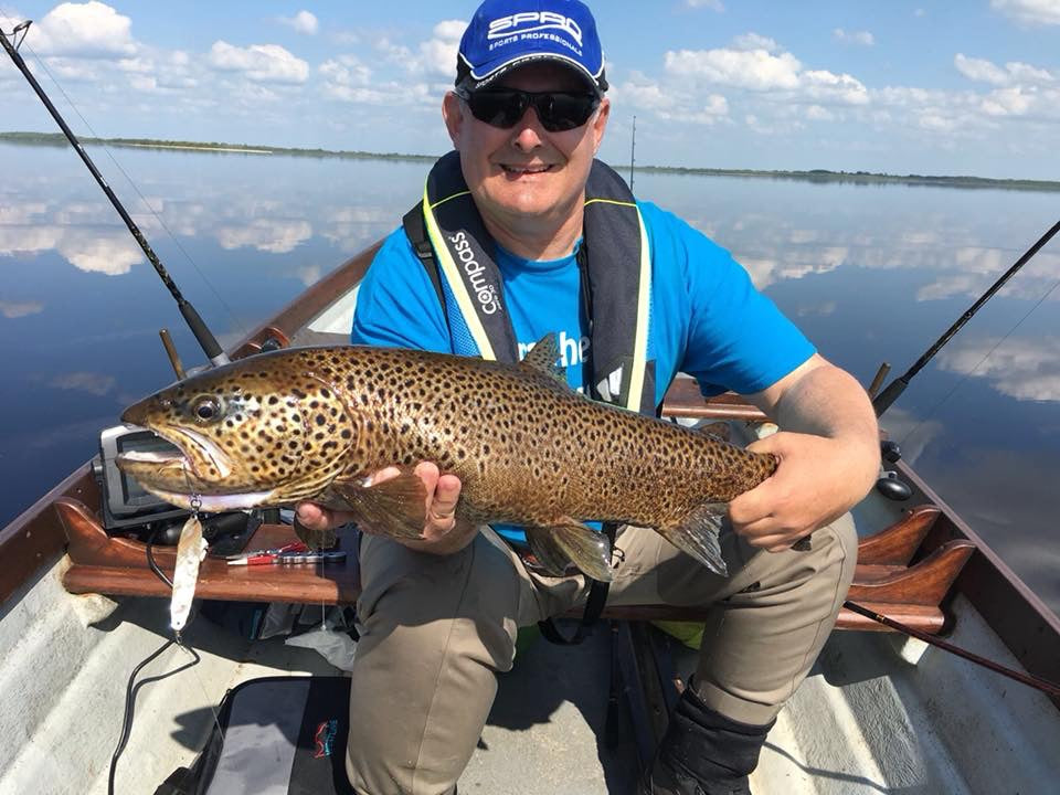 Brown Trout 70cm Irland