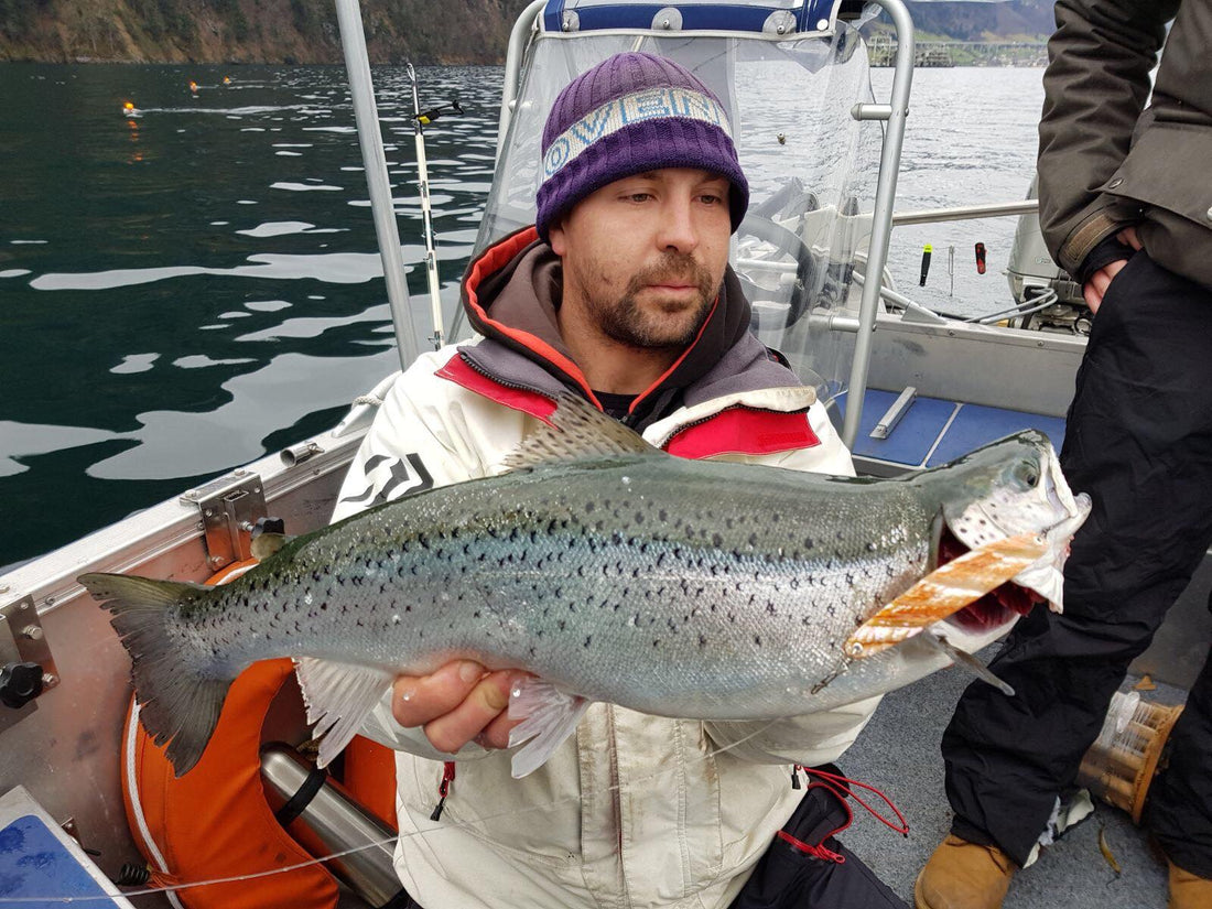 Seeforelle 63cm Vierwaldstättersee