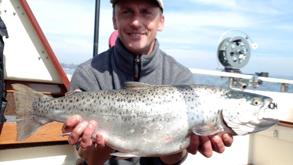Seeforelle Bodensee 63cm