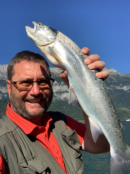 Seeforelle 55cm Walensee