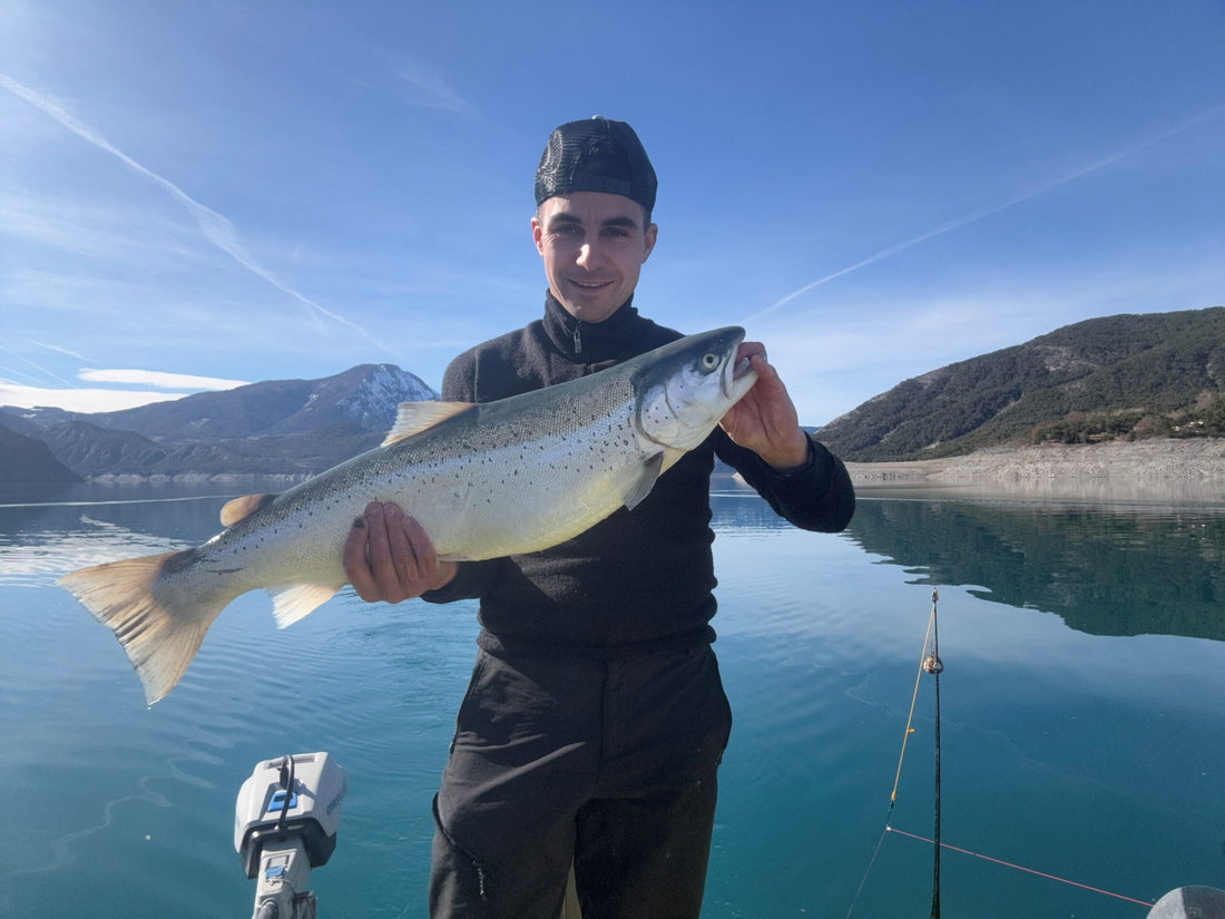 Seeforelle 78cm in Frankreich