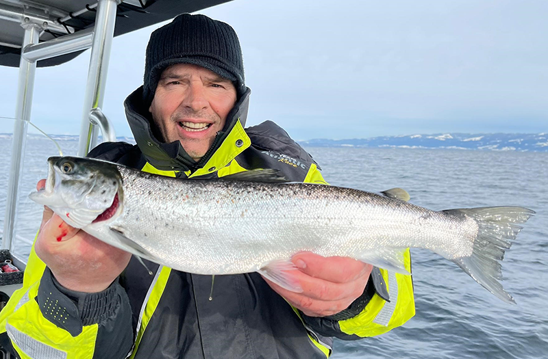 Seeforelle 53cm Bodensee