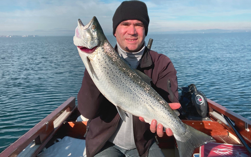 Seeforelle 65+ Bodensee