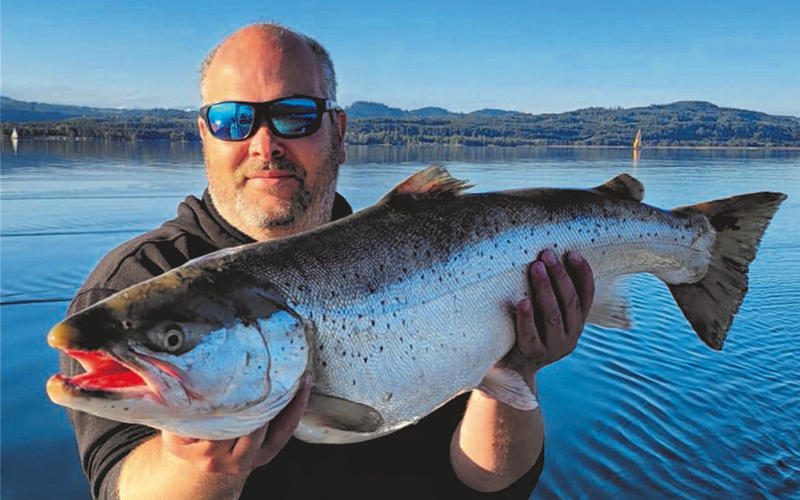 Seeforellen 87, 82 und 64 Neuenburgersee