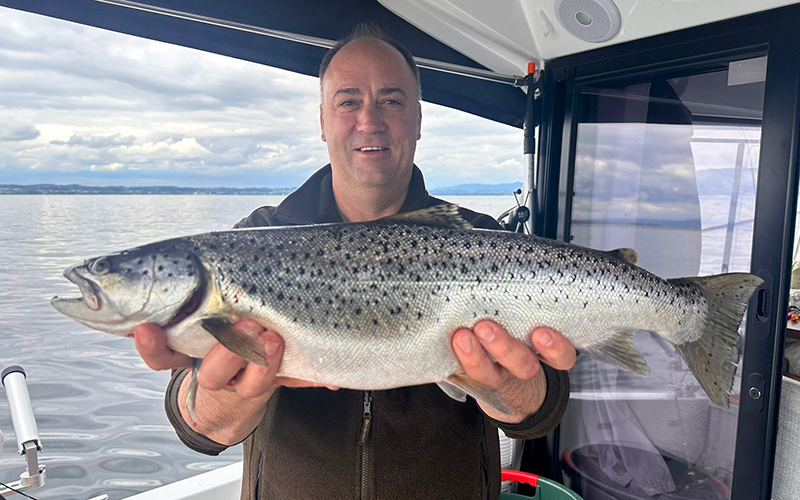 Seeforelle 67cm Bodensee