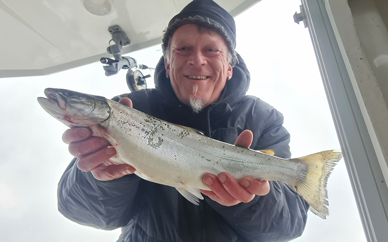 Seeforelle 51cm Bodensee