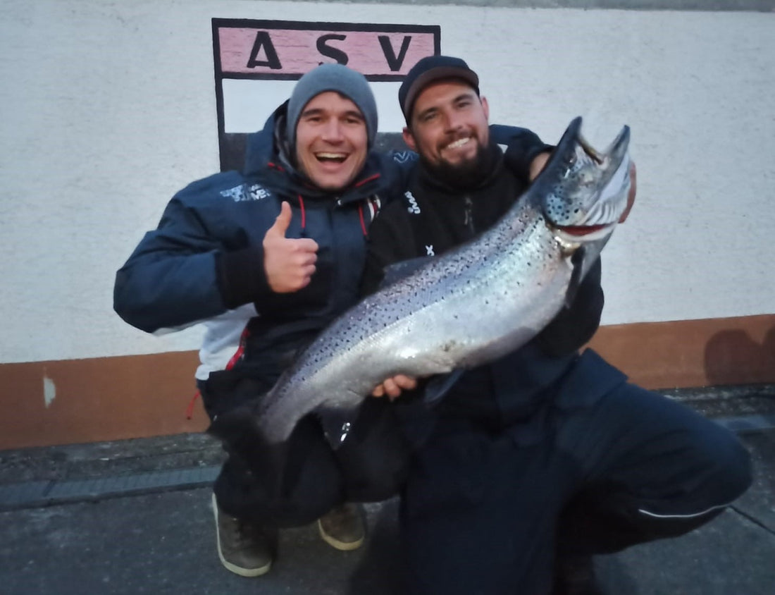 Seeforelle Bodensee 84cm