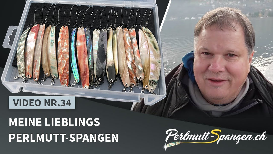 Meine Lieblings Perlmutt-Spangen