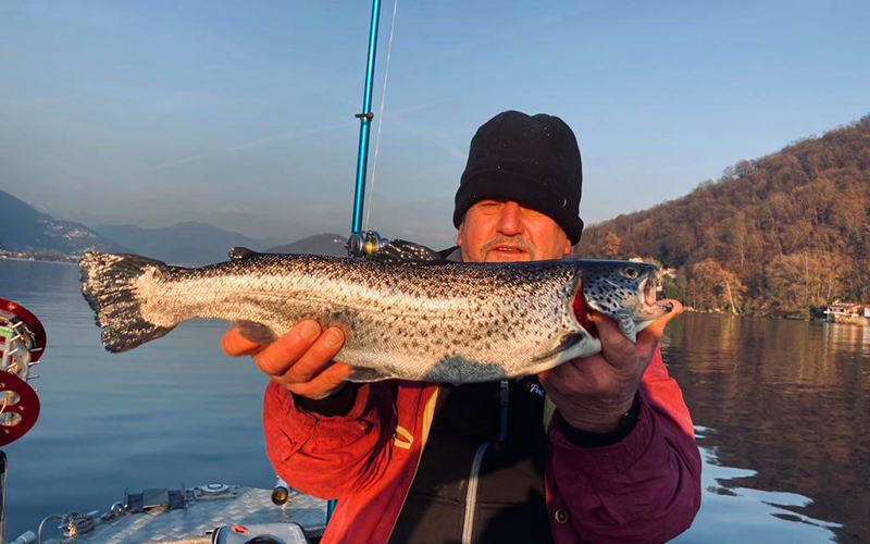 Seeforelle 56cm Luganersee
