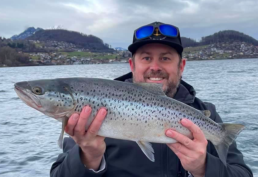 Seeforelle 60cm Thunersee