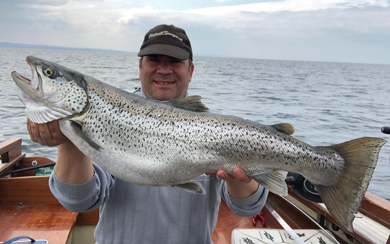 Seeforelle 80cm Bodensee
