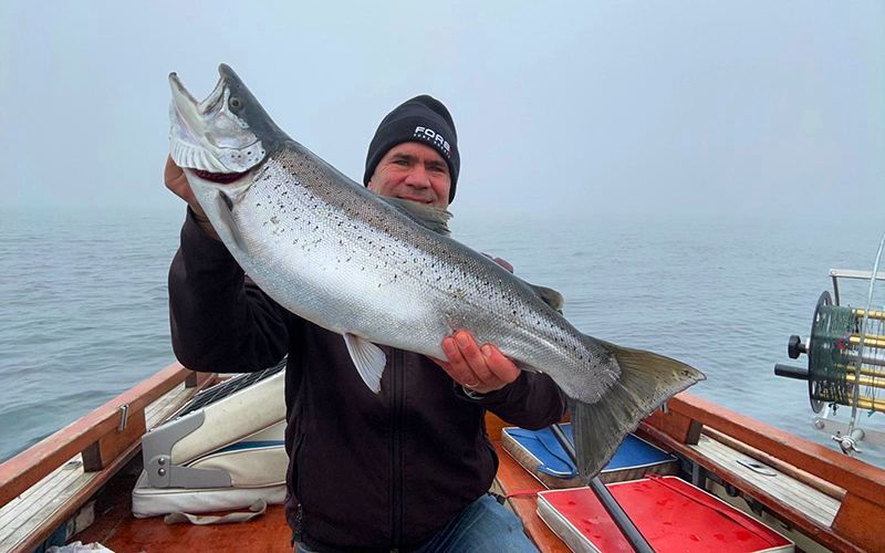 Seeforelle 70cm Bodensee