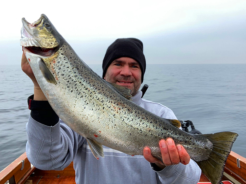 Seeforelle 64+ Bodensee