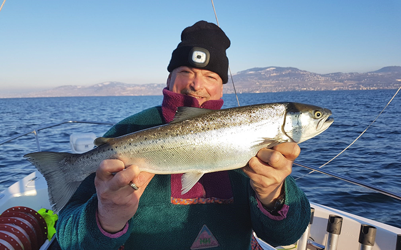 Seeforelle 58cm Genfersee