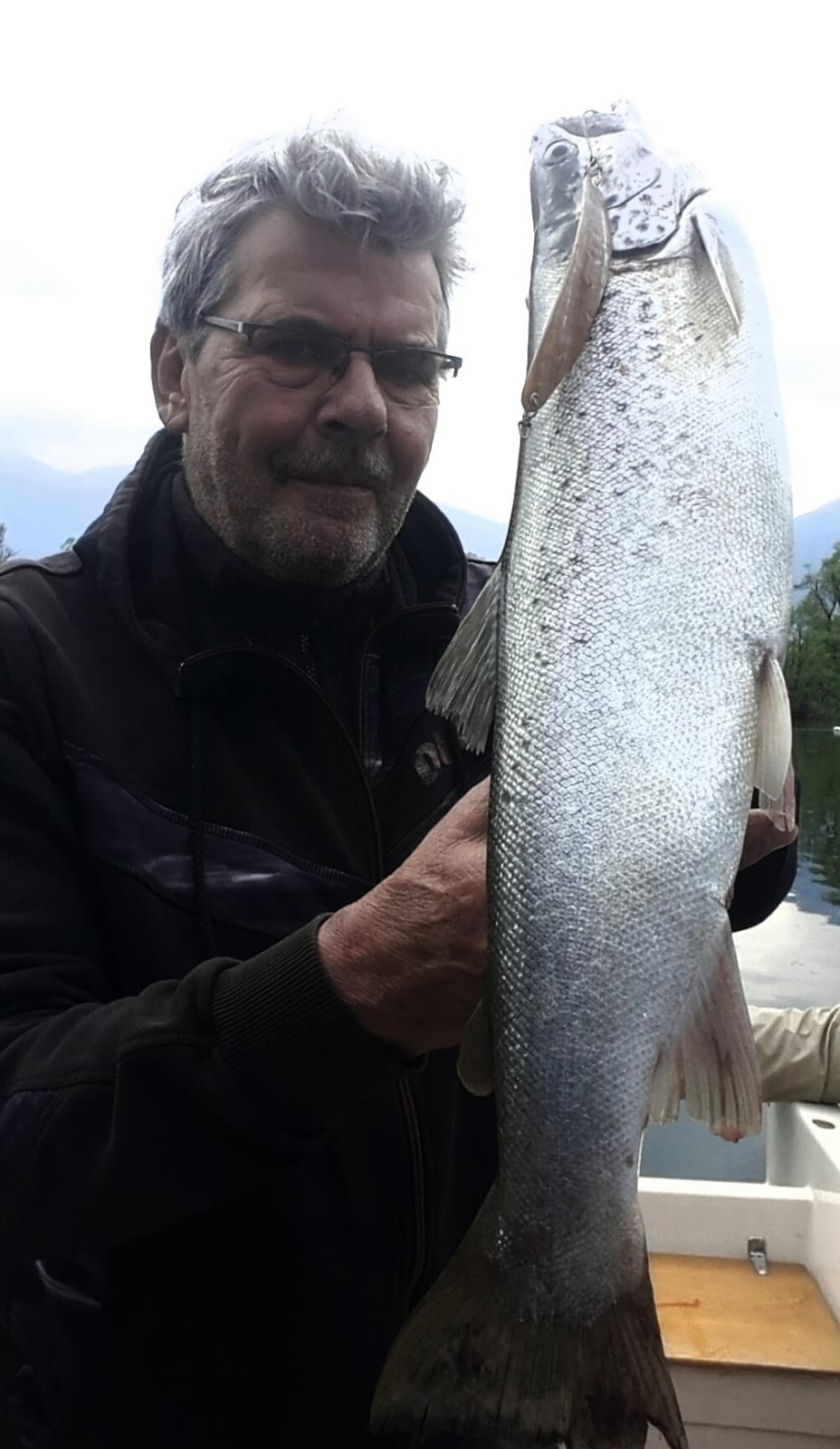 Seeforelle 53cm Lago Maggiore