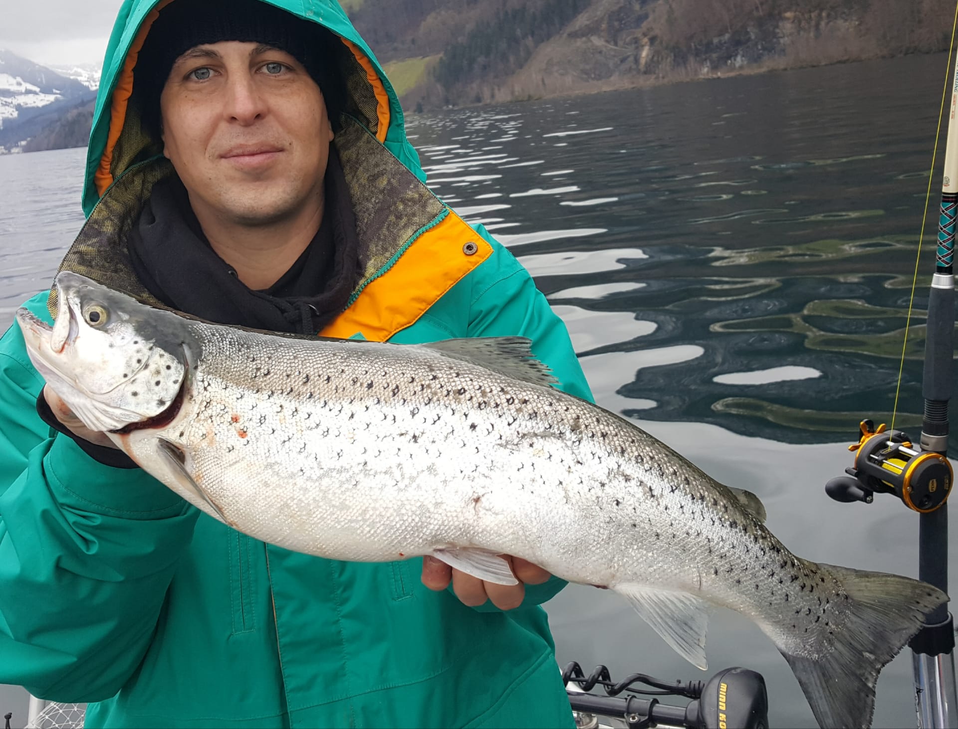 Seeforelle 58cm Vierwaldstättersee