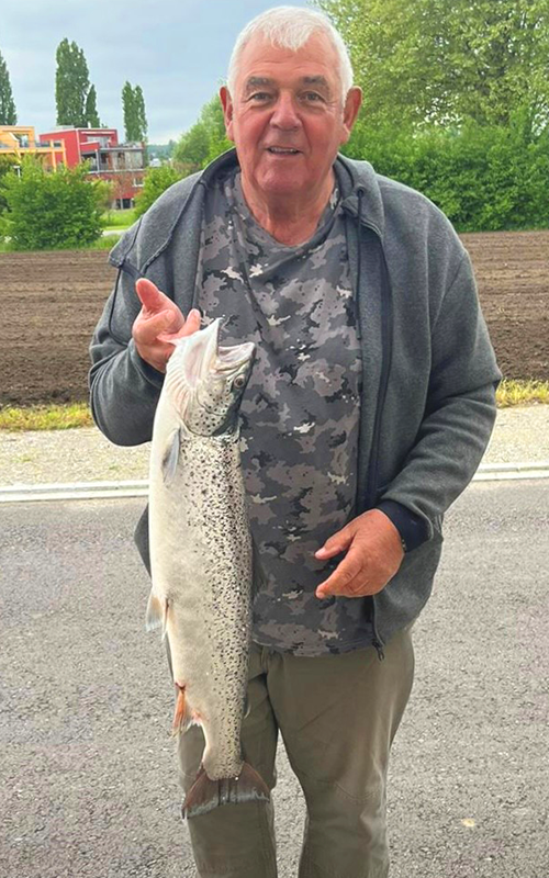 Seeforelle 74cm Bodensee