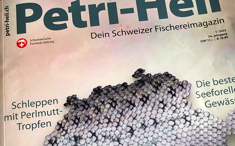 Seeforellen-Schleppen mit Perlmutt-Tropfen Bericht Petri-Heil