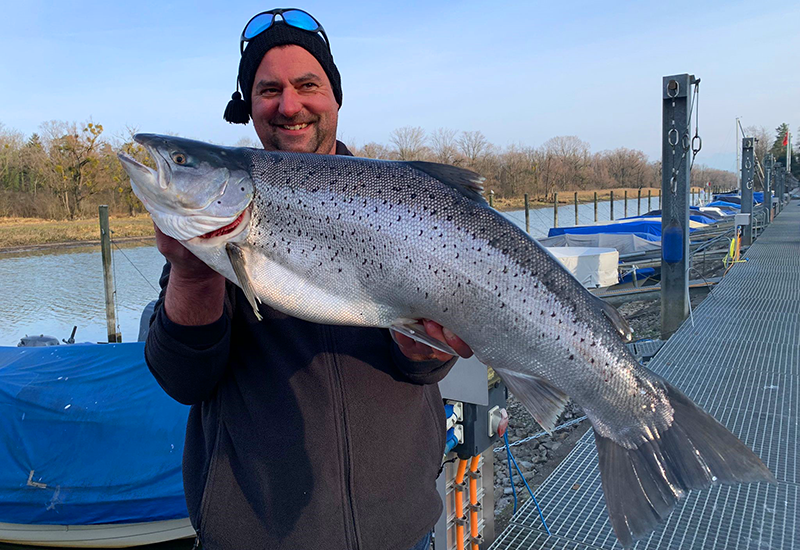 Seeforelle 80cm Bodensee