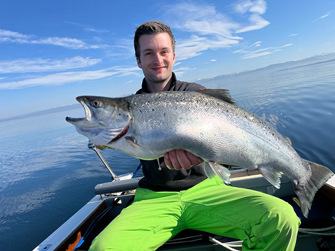 Seeforelle 60cm Bodensee