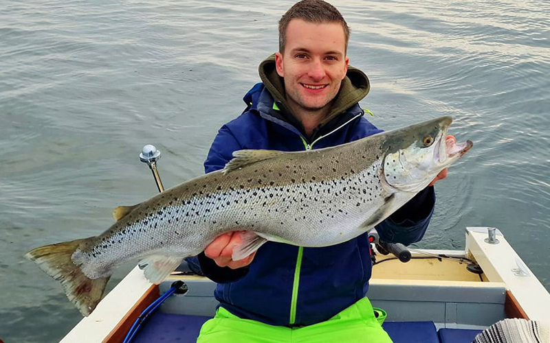 Seeforelle 72cm Bodensee