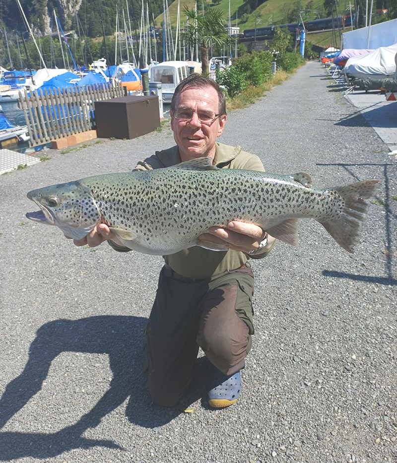 Seeforelle 69cm Urnersee