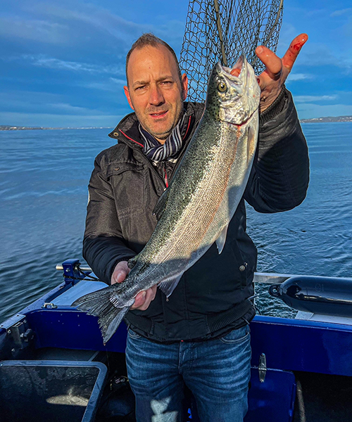 Regenbogenforelle 57cm Bodensee