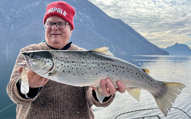 Seeforelle 56cm Luganersee