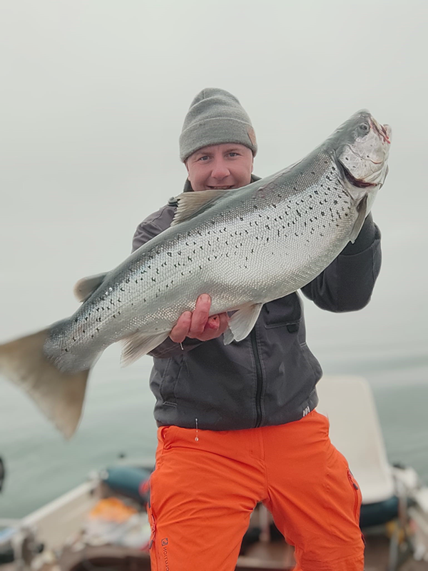 Seeforelle 80cm Bodensee