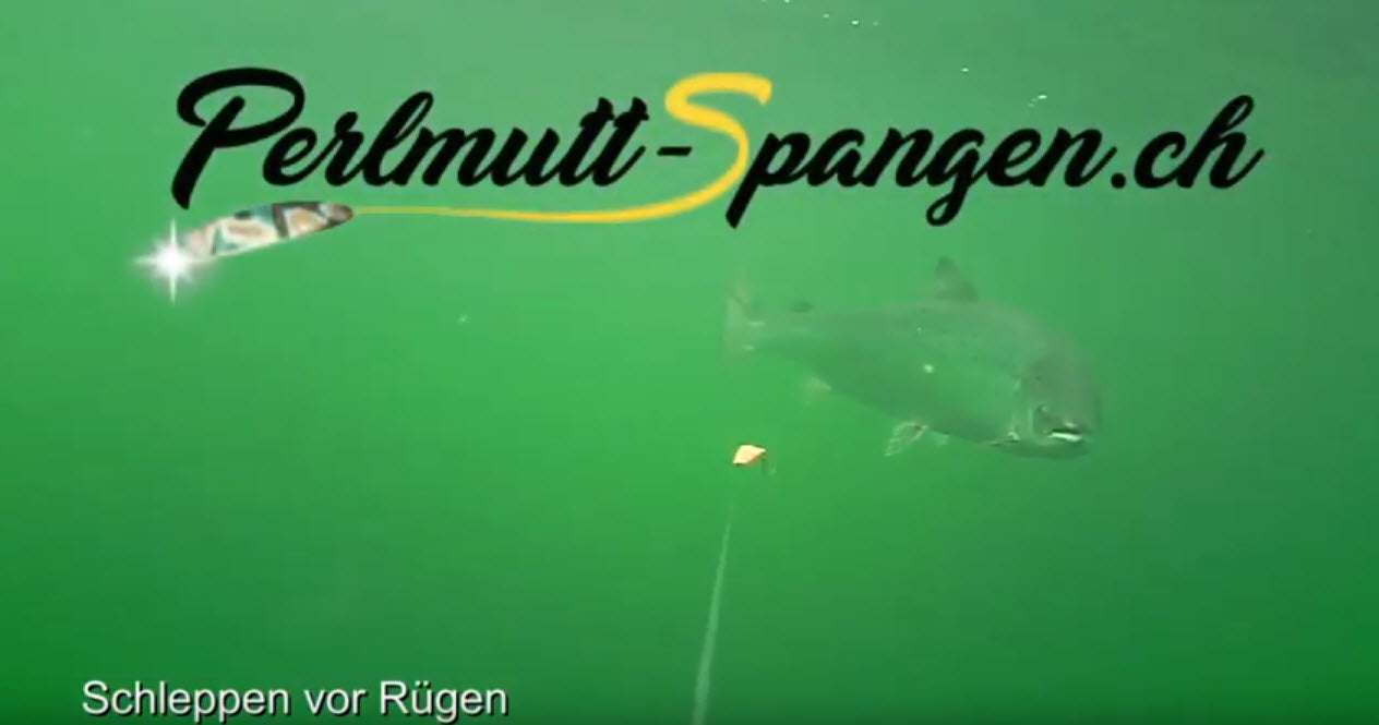 Schleppen mit Perlmutt-Spangen auf Lachs in Rügen
