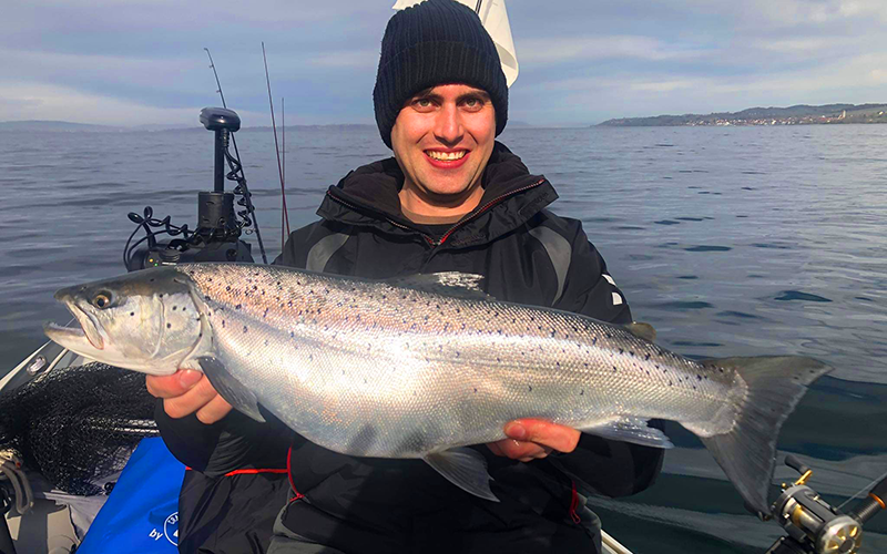 Seeforelle 65cm Bodensee