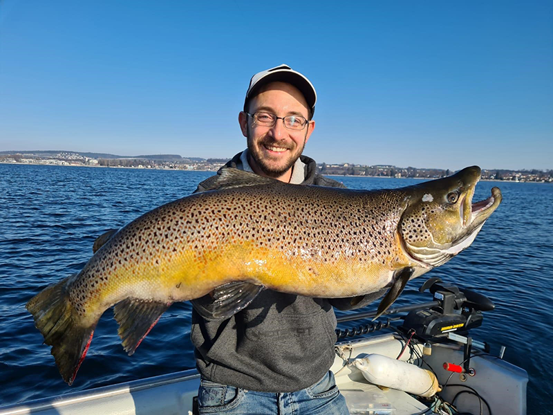 Seeforelle 88cm Bodensee