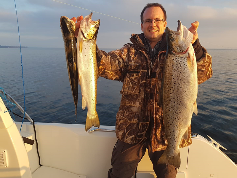 Seeforelle 72cm Bodensee