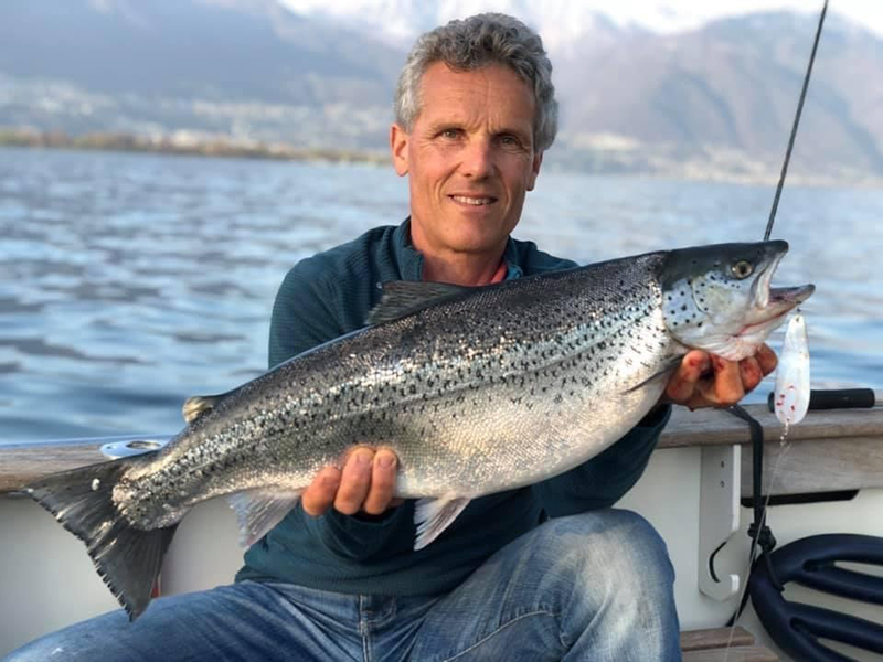 Seeforelle 80cm Lago Maggiore