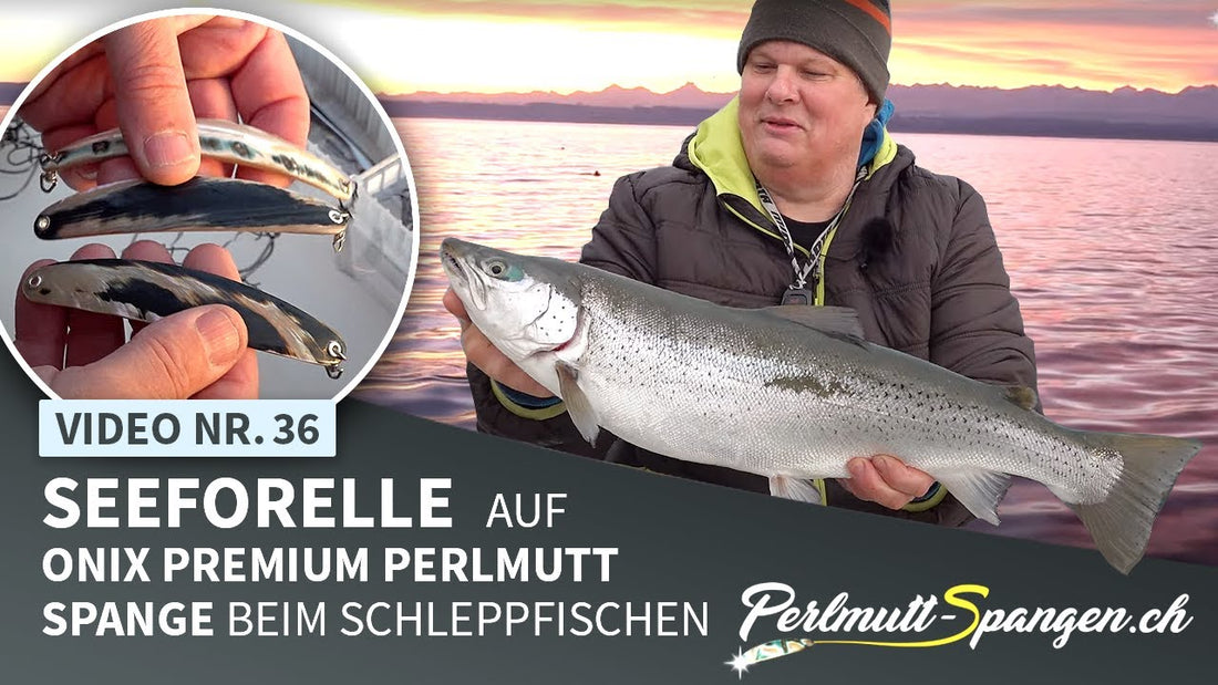 Seeforelle auf Onix Premium Perlmutt-Spange beim Schleppfischen