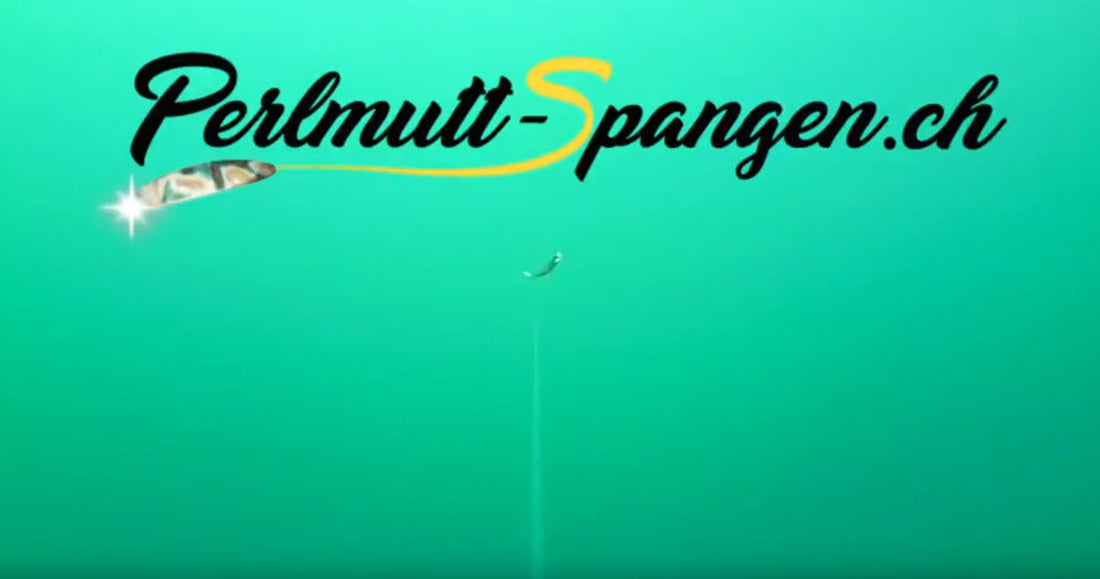 Seeforelle schnappt Smaragrd Perlmutt Spange