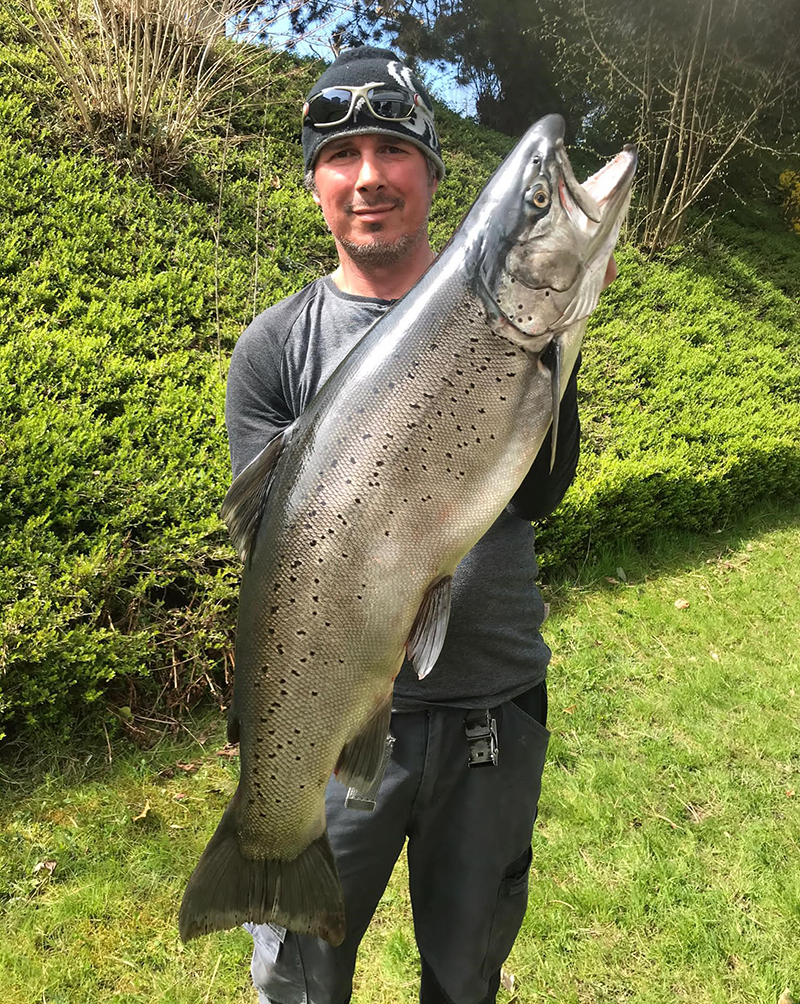 Seeforelle 93cm Bodensee