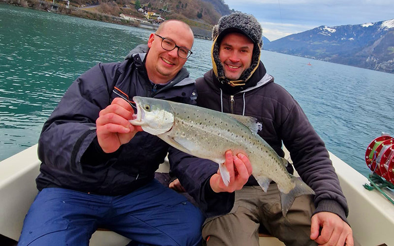 Seeforelle 56cm Walensee